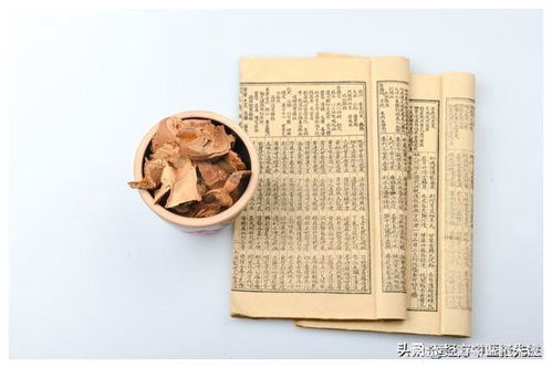 湿为万病之源 中医名方四神汤除湿效果好