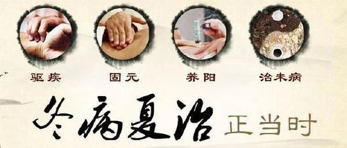 三伏养脾胃 脾胃健则五脏安