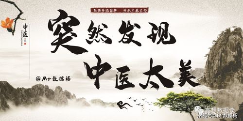 python django 智慧中医健康数字服务平台 项目总览