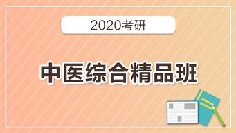 2020考研中医综合精品班