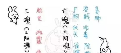 中医 中医讲 三魂七魄 ,数数你的都还在吗