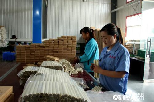药王故里 陕西铜川耀州区 艾草变身致富 金草
