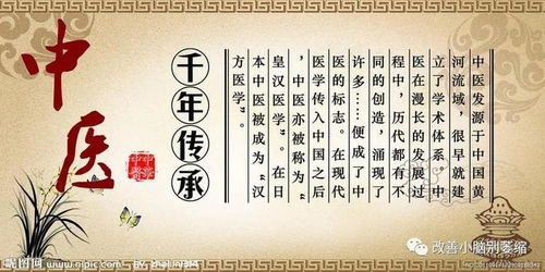 千年中医传承丨中医魅力的所在