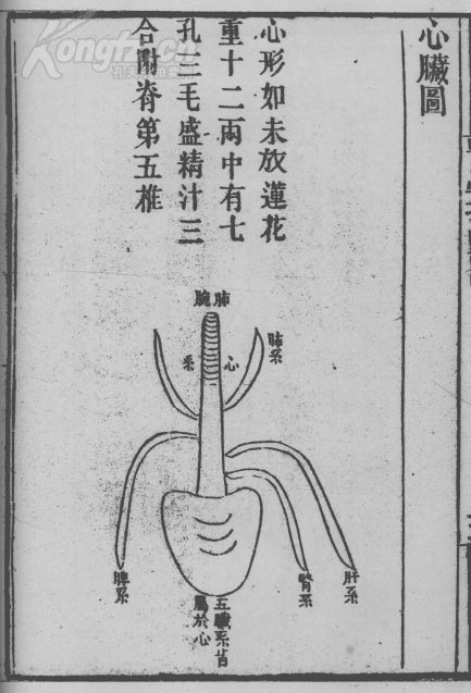 复印精品中医古籍 医学指归 全二卷一册 据清刻本影印