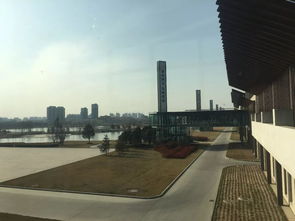 身处连高铁都没通的小县城，这家公司为何还能做到国际一流中医