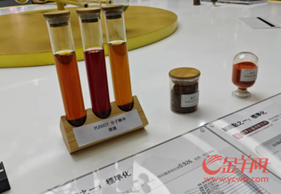 粤升湾区阔 潮涌看中国 粤澳合力，让中医药“潮”涌世界